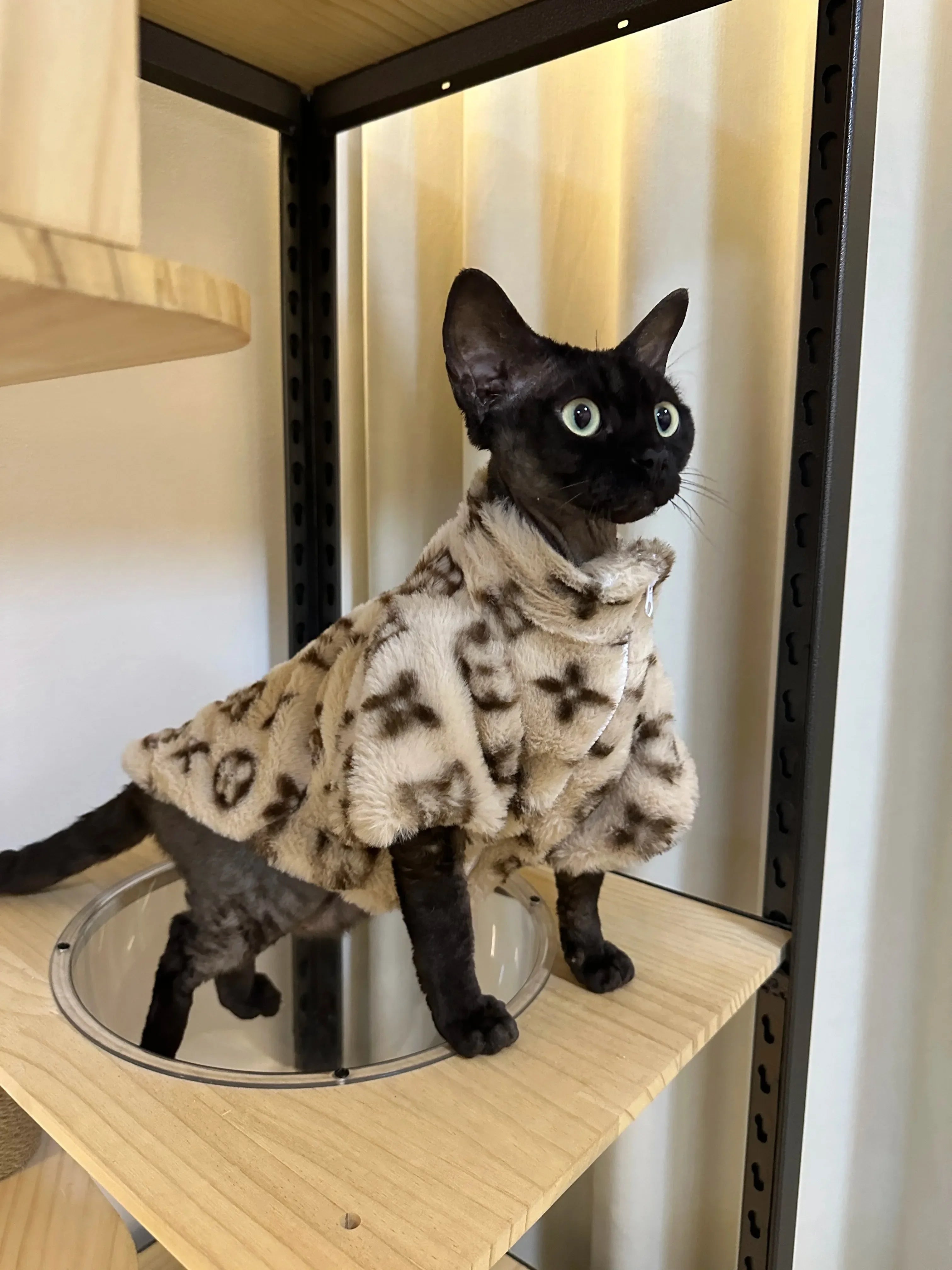 Elor ® Dog winter High-end coat