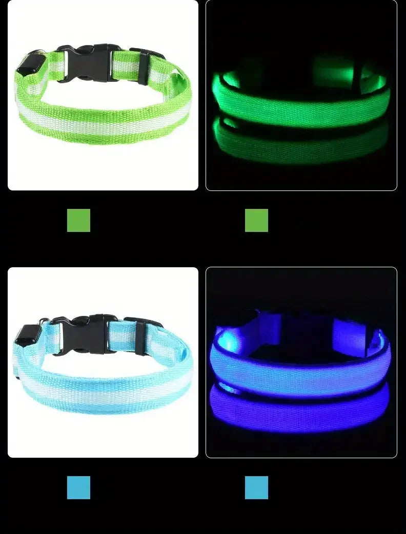 Elor ® Nylon LED Night  Leash