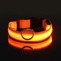 Elor ® Nylon LED Night  Leash