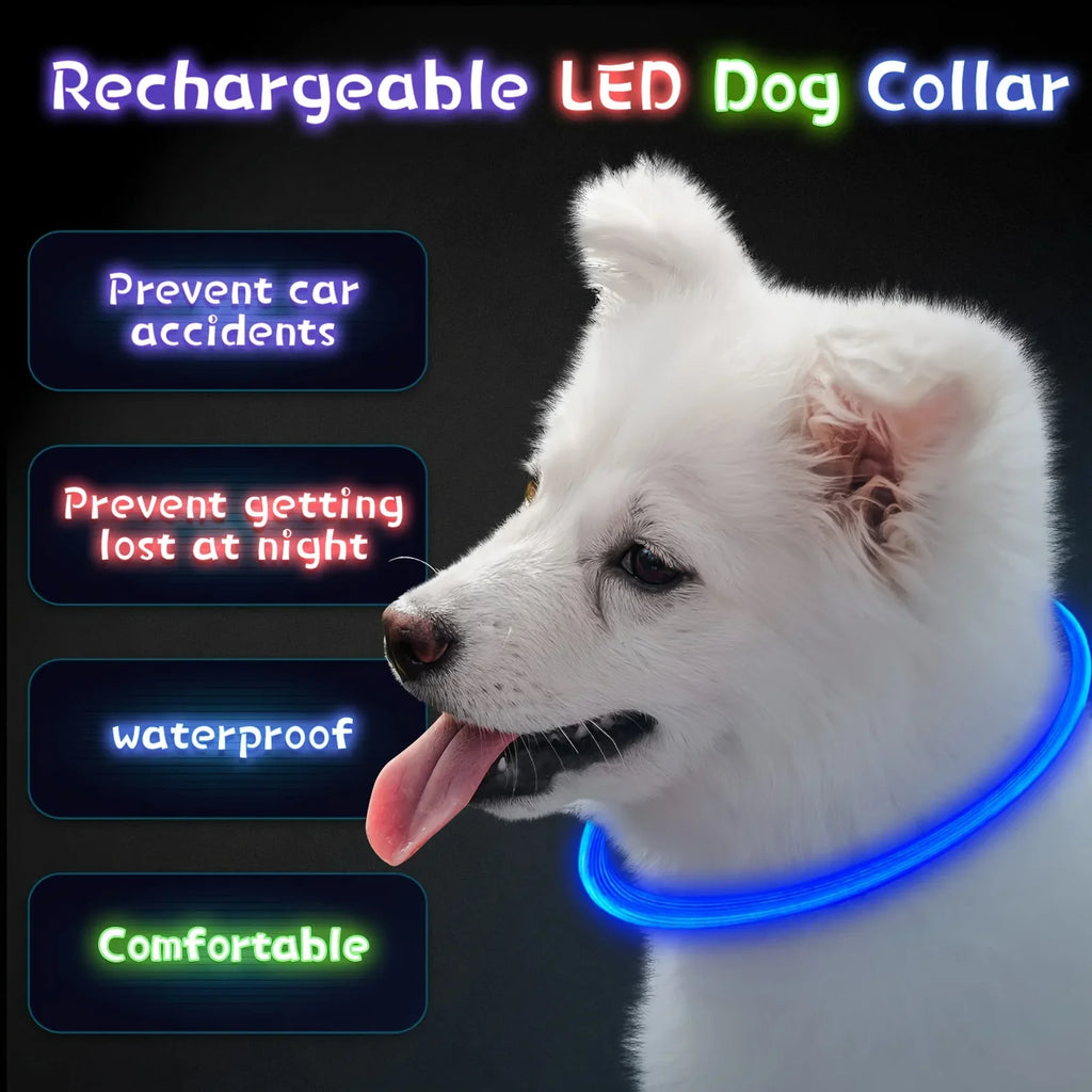 Elor ® Pet Dog LED Light Collar