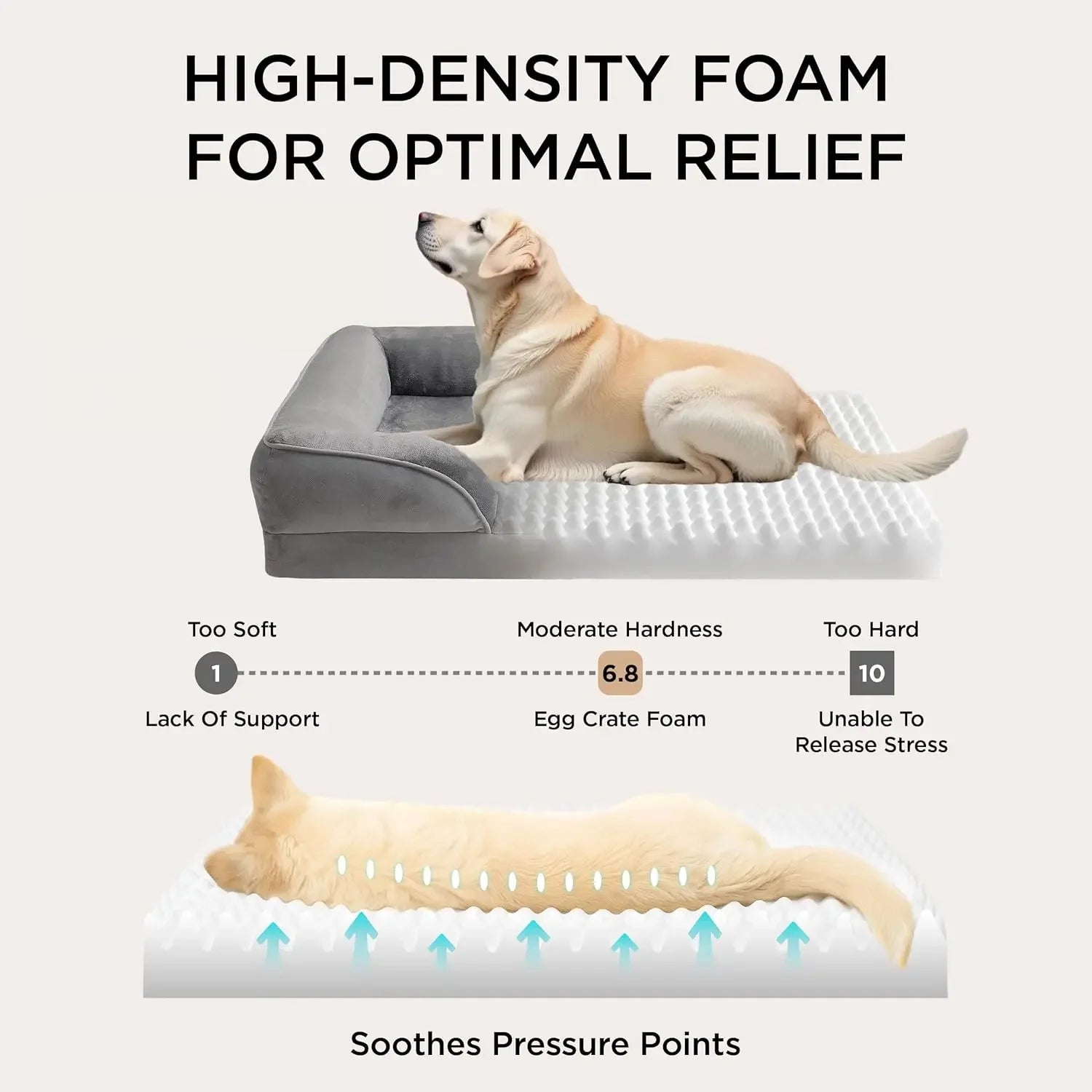 Winter Waterproof Orthopedic Dog Bed Washable, Medium Size Pet Bed with Removable Cover, Joint Pain Relief Sofa for Cats Dogs