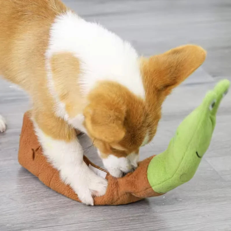 Elor ® Paws Snail Shaped Pet Toy